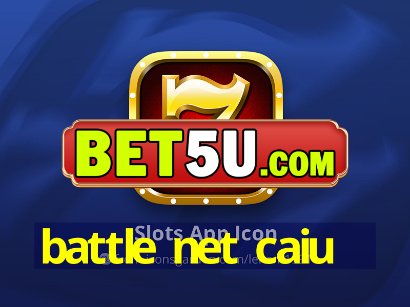 battle net caiu